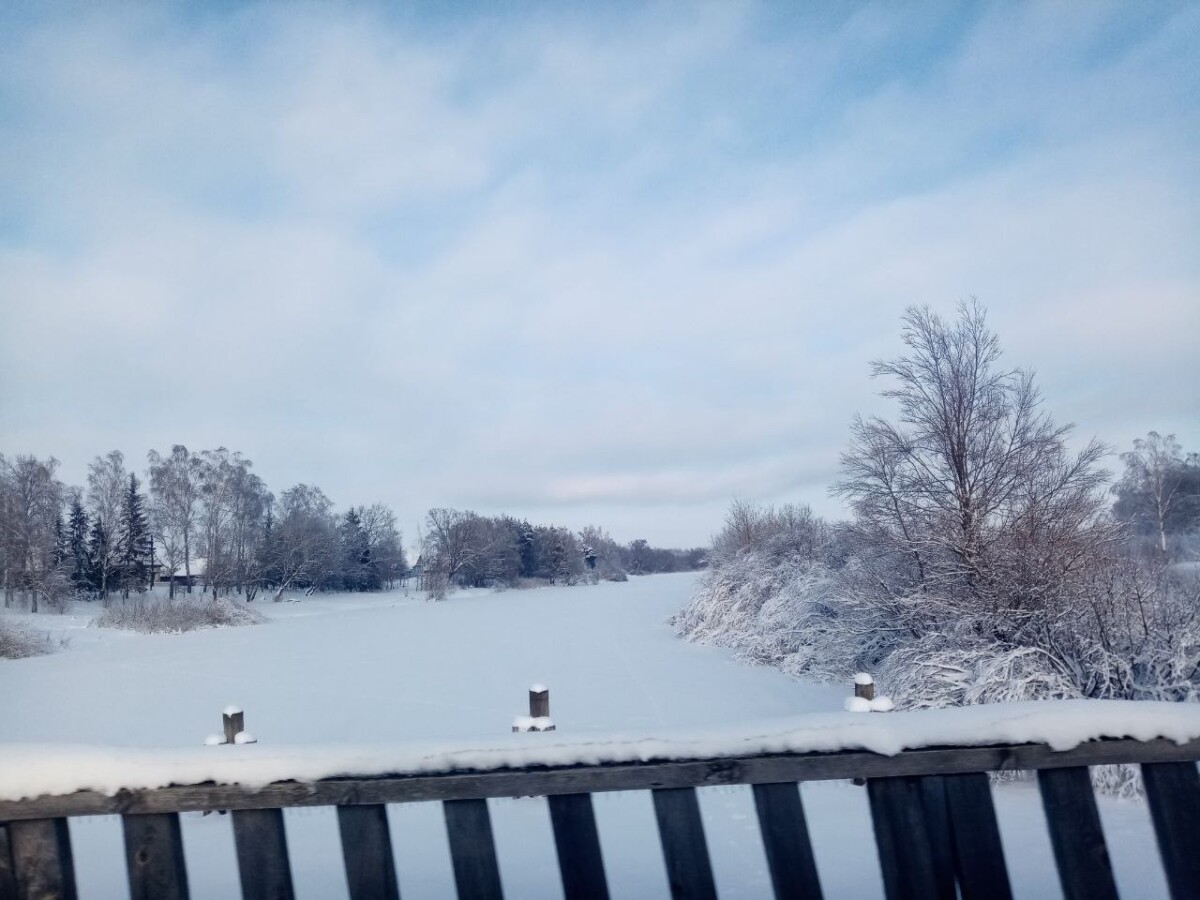 У села под Новозыбковом Брянской области измерили толщину льда