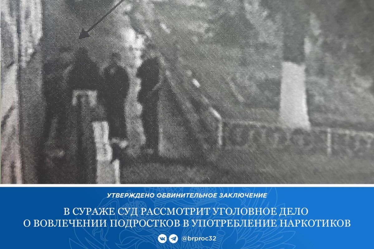 На десять лет осужден ранее судимый житель Новозыбкова