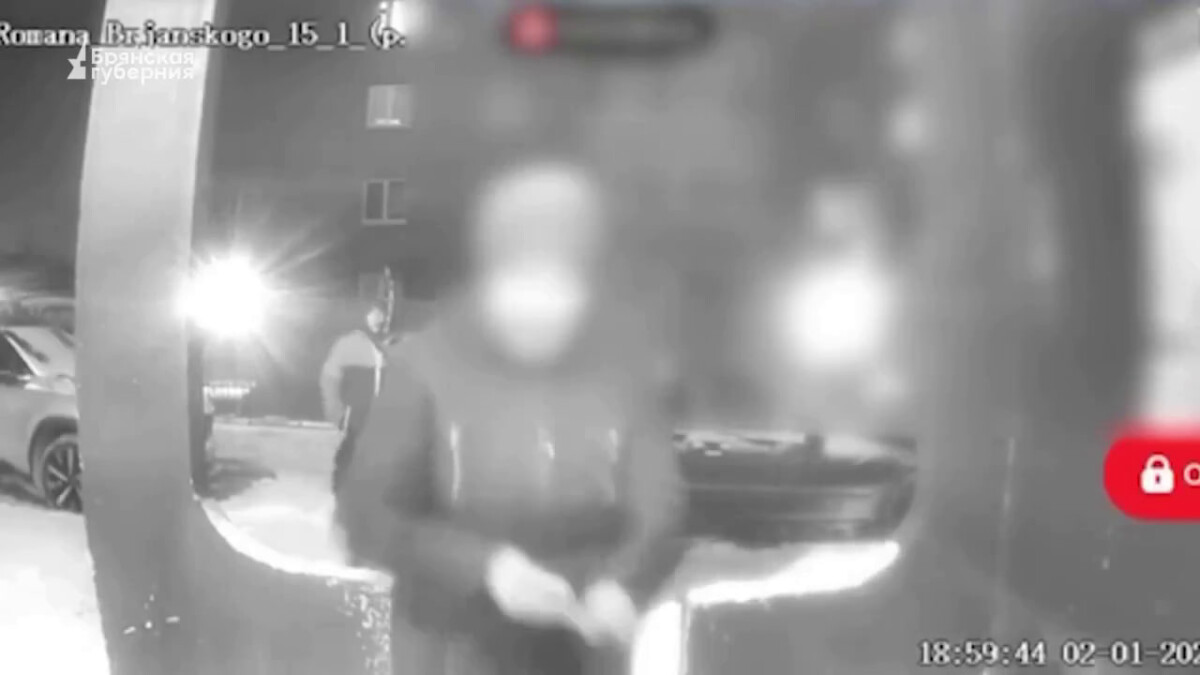 В Брянске заключен под стражу злодей, ударивший кирпичом женщину