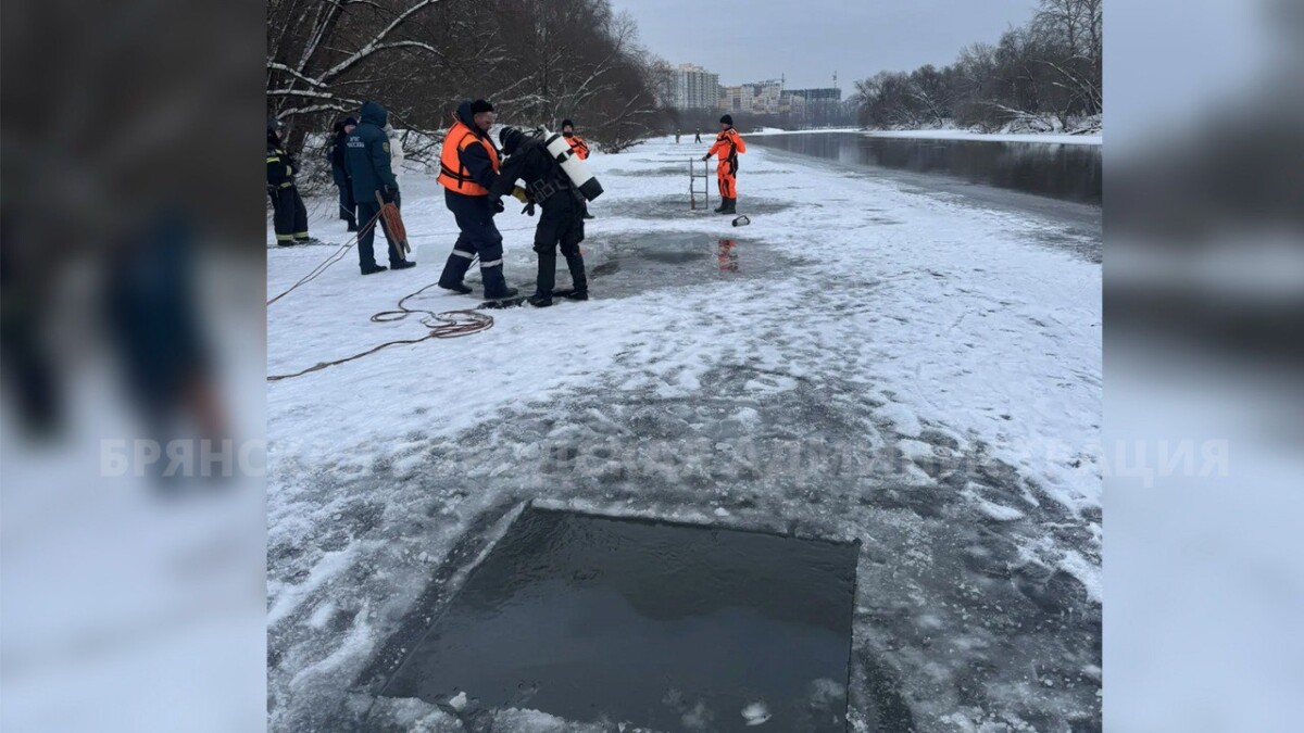 Утонувшие в Брянске дети выскочили на полынью