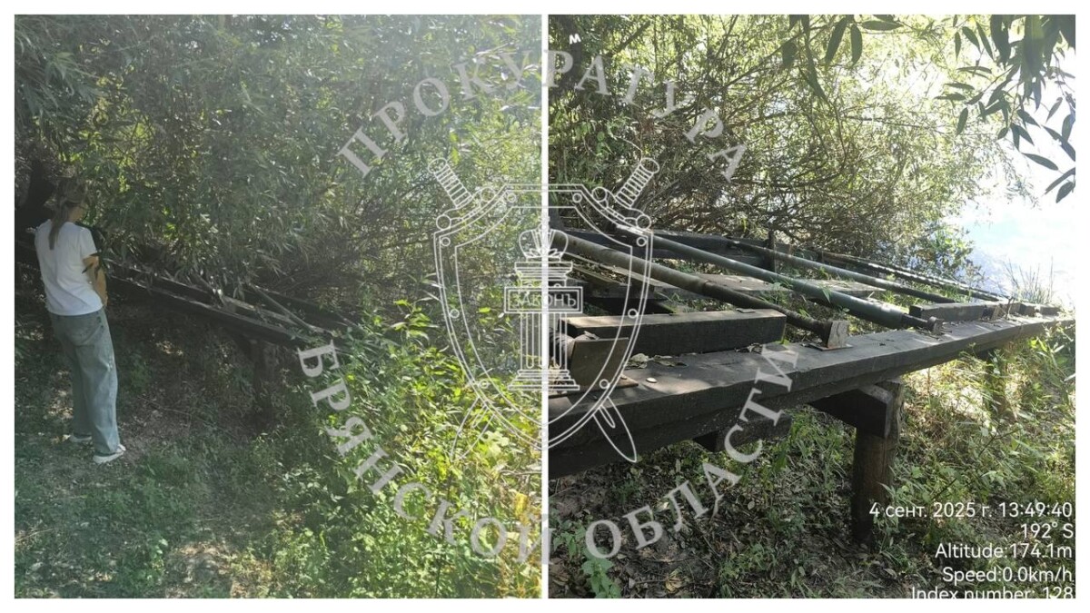 Частный пирс не оценила Брянская природоохранная прокуратура
