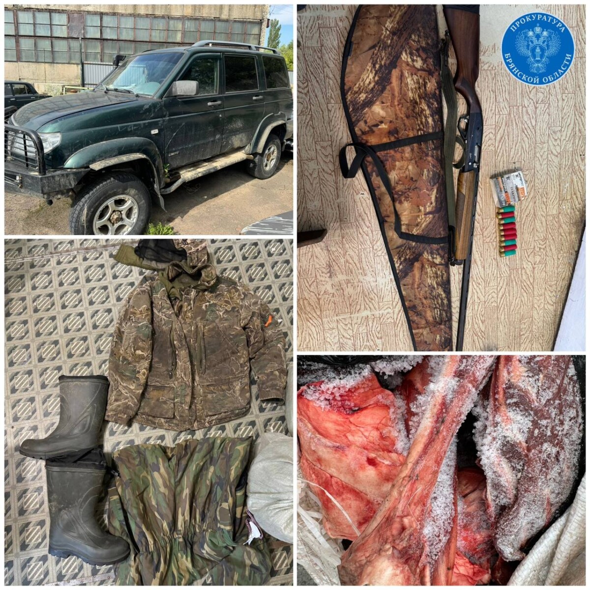 За незаконную охоту на косуль получили судимость пятеро браконьеров из Клинцов