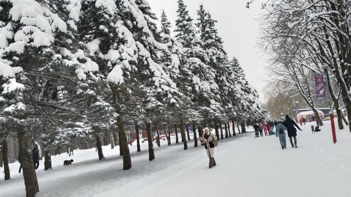 Попробуют забрать деньги у мошенницы, которой на счет упали накопления пенсионерки из Брянска