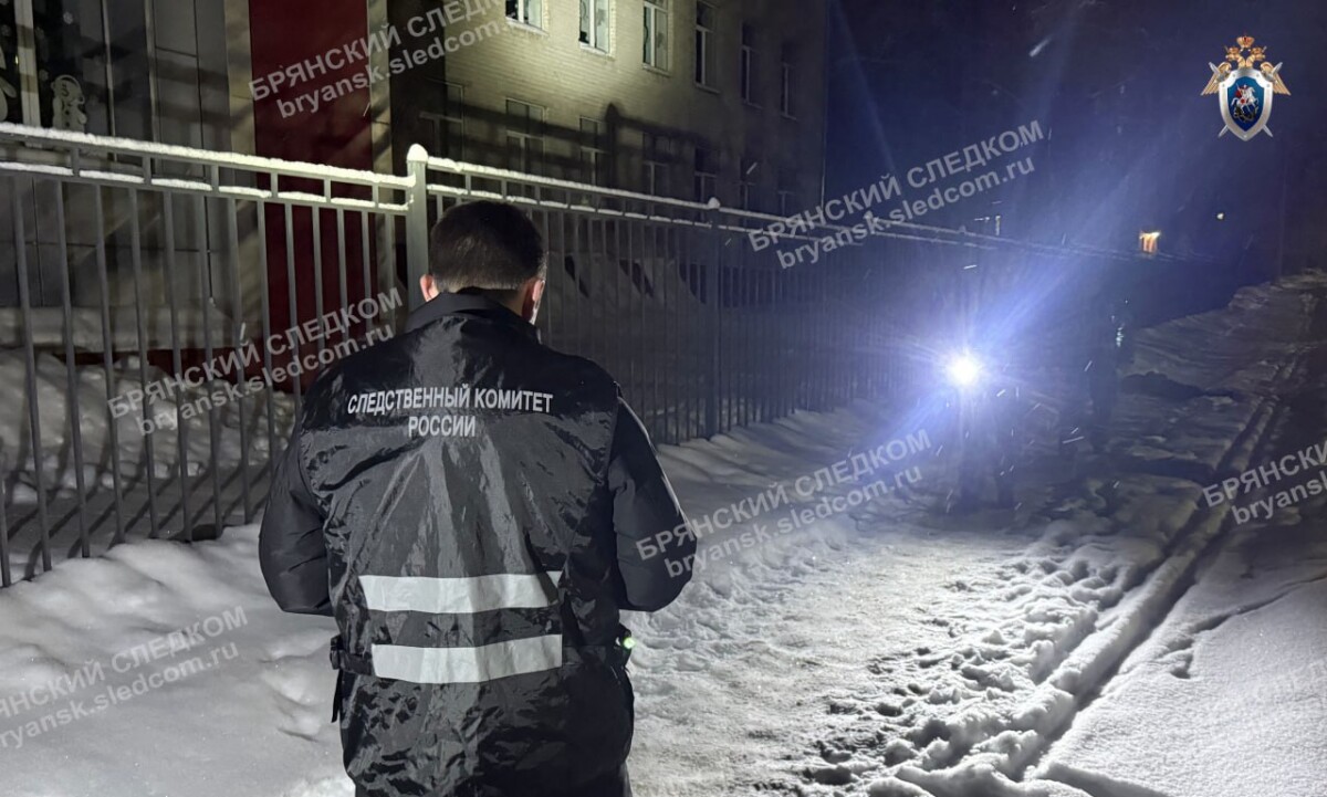 Задержан подросток, убивший знакомого в Новозыбкове Брянской области