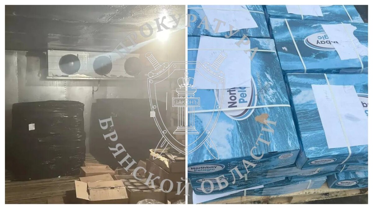 Мороженую скумбрию везли окольными путями в Брянскую область