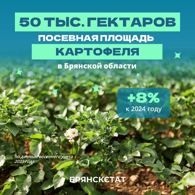 Основным локомотивом брянского АПК остается картофель