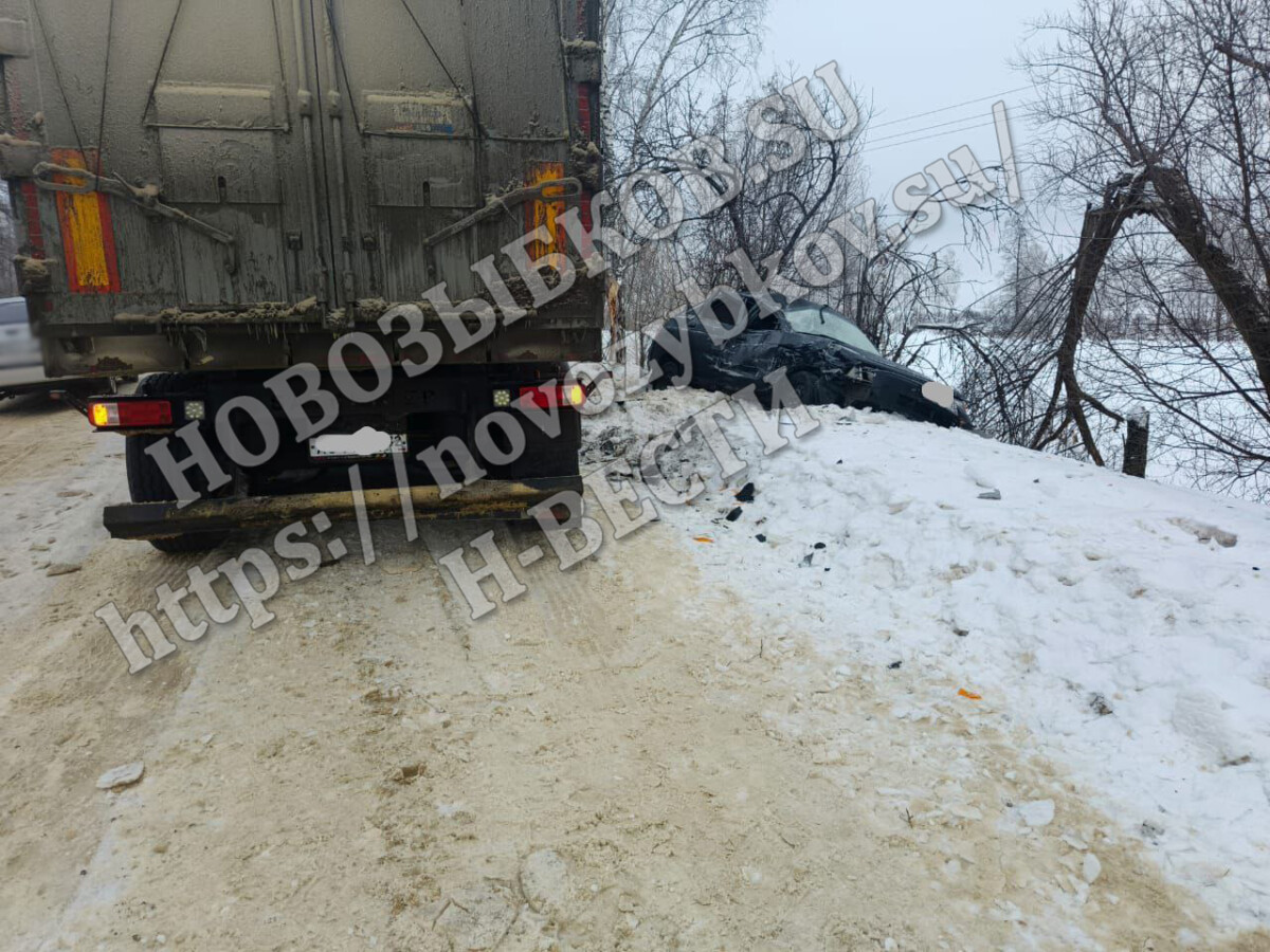 Водитель ВАЗа под Новозыбковом Брянской области влетела в грузовик и сбила столб 