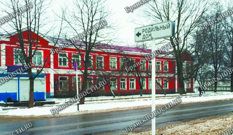 В первый день наступившего года в Брянской области родились девочки-двойняшки