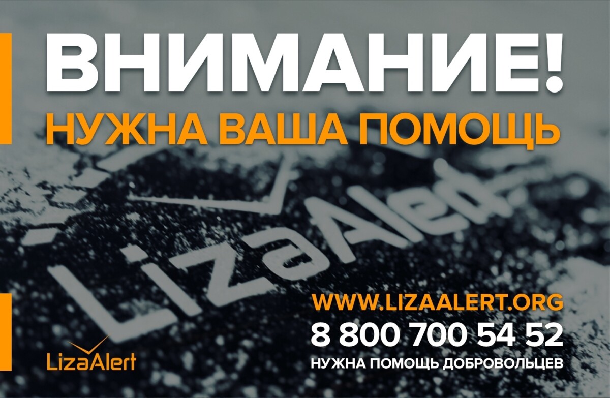 Брянские поисковики: Мы не сдаемся, но нам нужна помощь