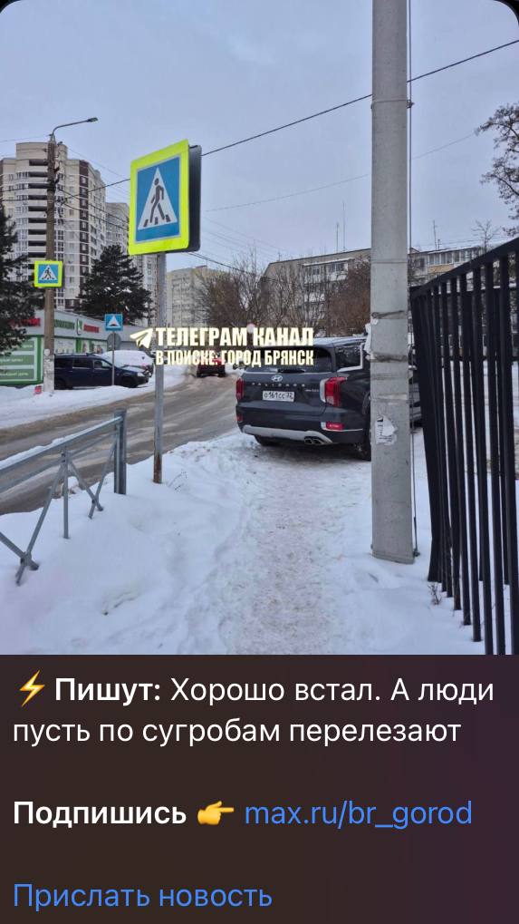 По публикации в соцсети сотрудники Госавтоинспекции Брянска нашли водителя автомобиля Hyundai