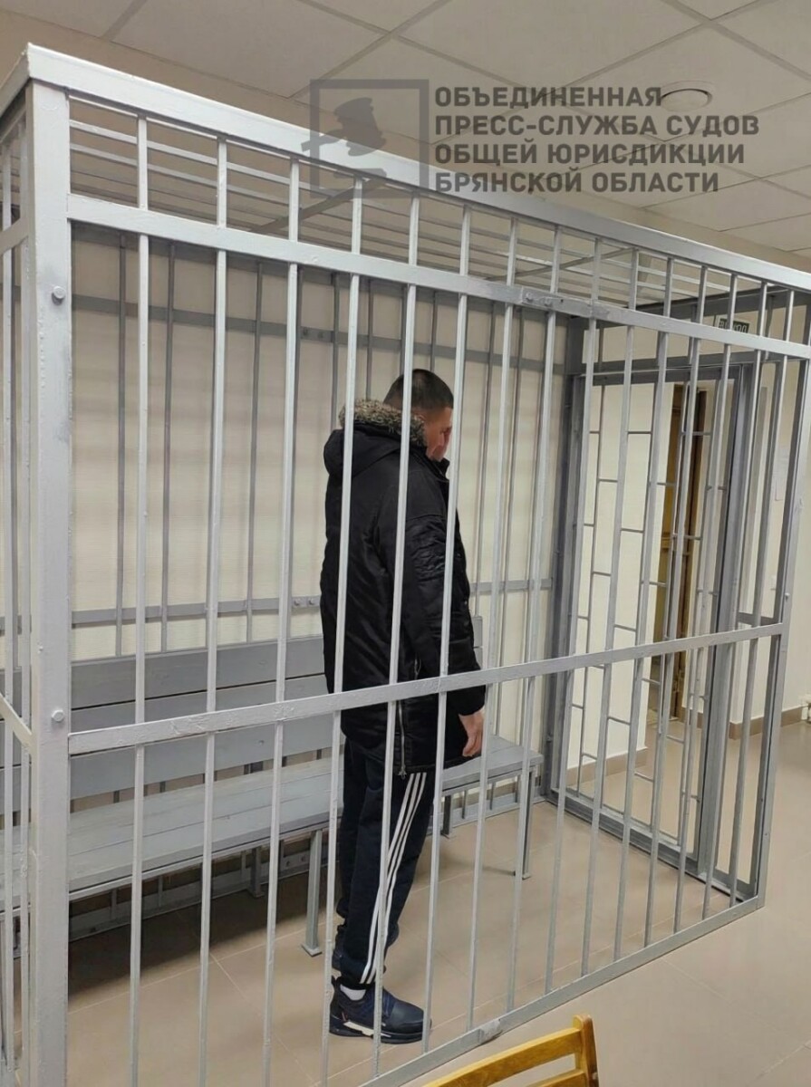 Две женщины и подросток смогли отбиться от грабителя в Брянской области и дать показания