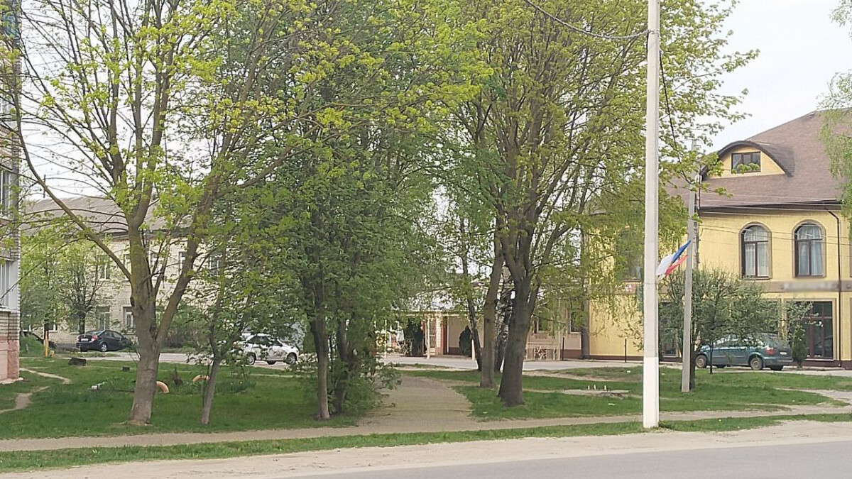 Полгода вели следствие по делу о грабеже в кафе Новозыбкова