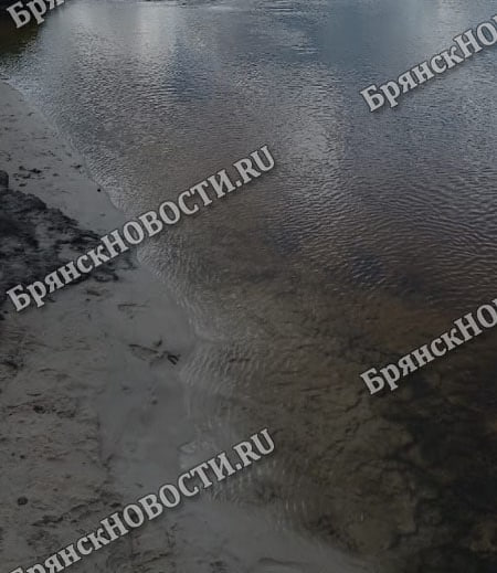  В Брянске посадили щупавшего девочку старого педофила