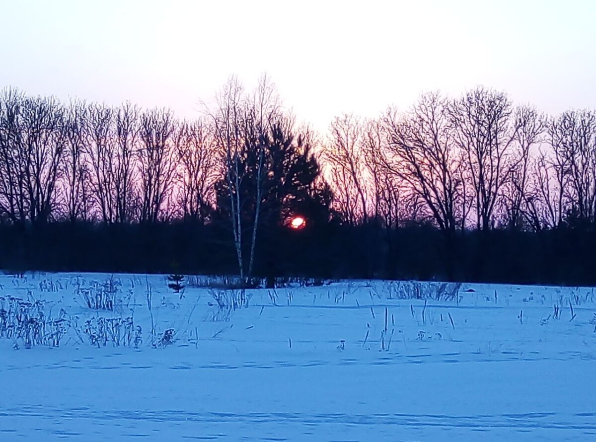 Туман в первый день весны накроет Брянскую область