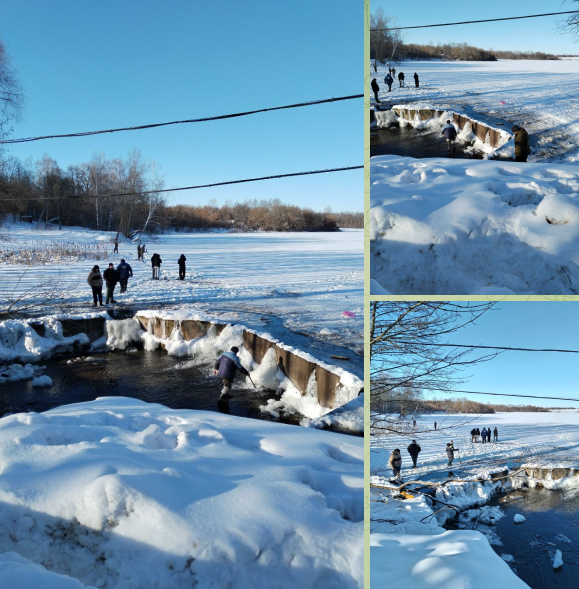 В Стародубе на призыв помочь рыбе отозвались ловцы сачками