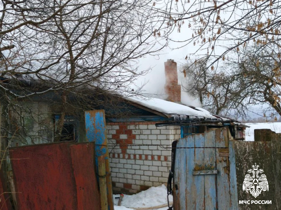 В деревне под Стародубом при пожаре погибла женщина 68-ми лет