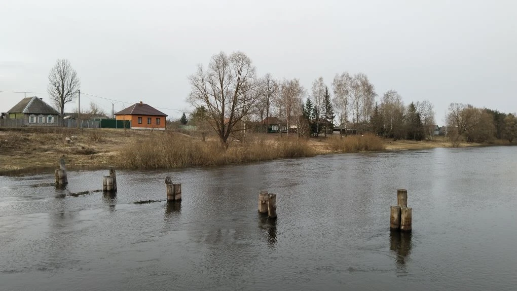 В зону возможных подтоплений попали территории большинства районов Брянской области