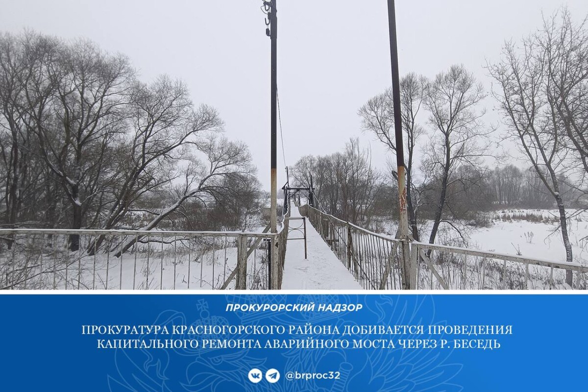Подвесной мост в поселке Брянской области признали аварийным