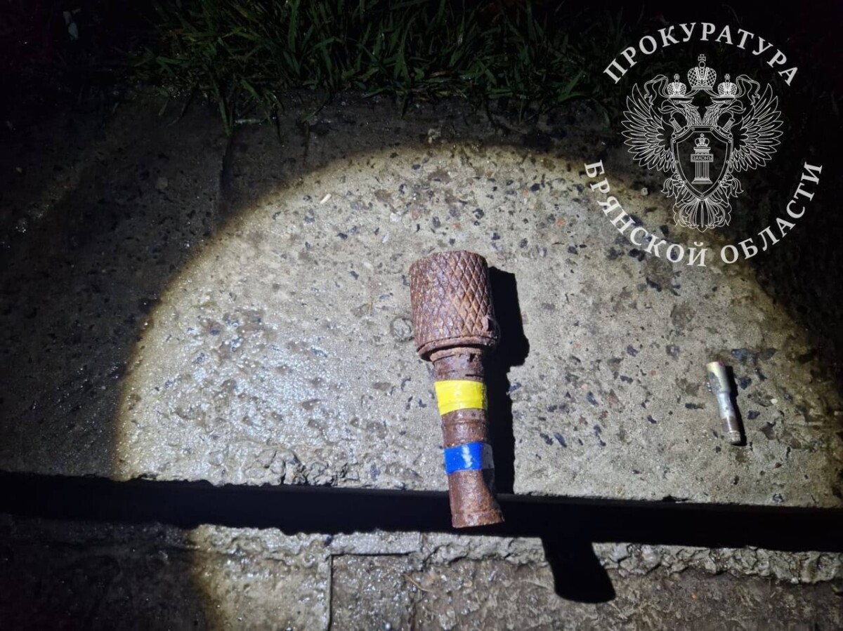 В Дятьково пожилой мужчина принес в ТРЦ гранату и оставил в туалете