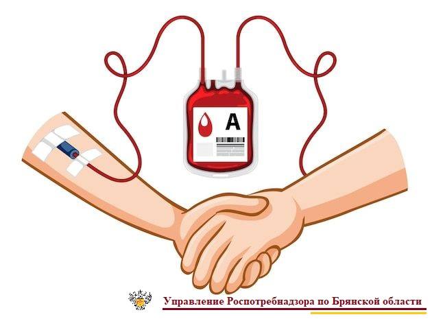 Сотрудники Роспотребнадзора сдали кровь для пострадавших при ракетном ударе ВСУ по Брянску