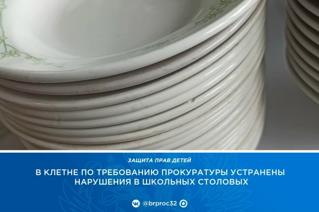 Многочисленные нарушения нашли в школьных столовых в Клетне  
