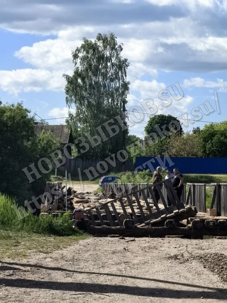 Десятки миллионов вложат в деревянный мост у села под Новозыбковом Брянской области