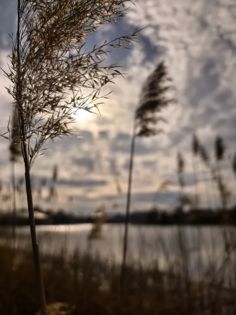 Со следующей недели в Брянской области ночи станут менее холодными