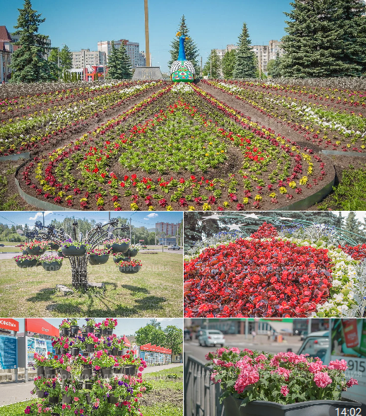 Брянск превращают в город цветов