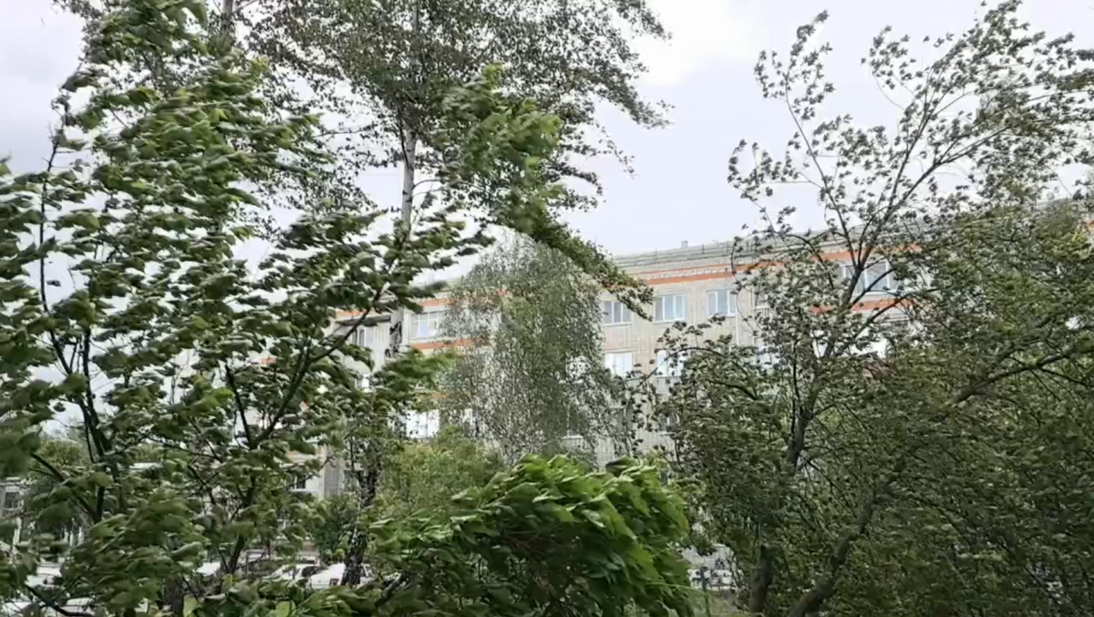 Непогода оставила без электричества жителей сел Новозыбковского округа