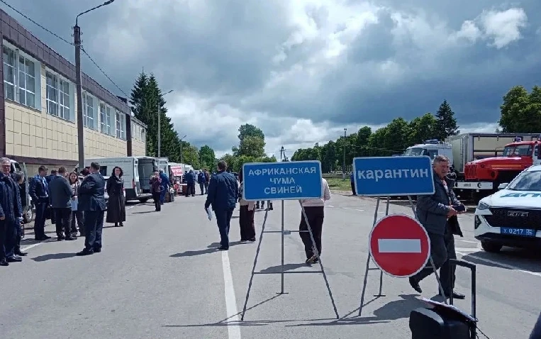 В Брянской области прошли межрегиональные учения по ликвидации африканской чумы свиней
