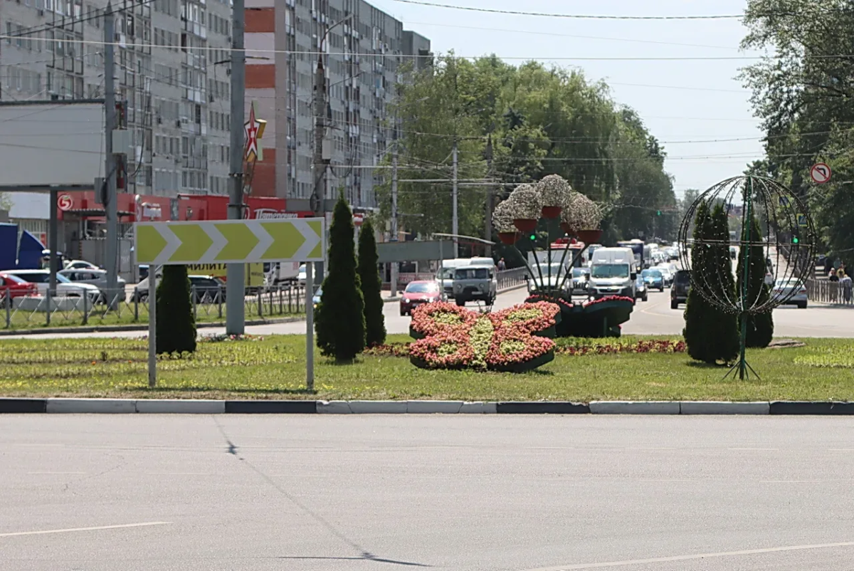 Три тысячи цветов распустятся у разворотного кольца в Брянске