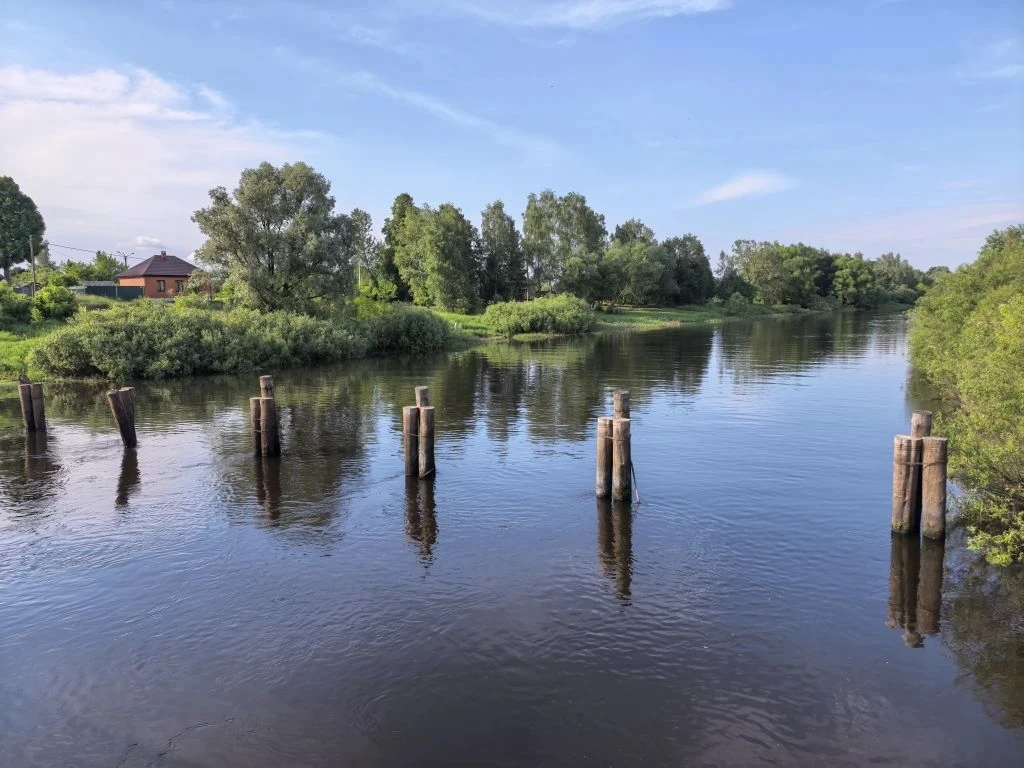 В Брянской области запретили детям гулять у воды без родителей
