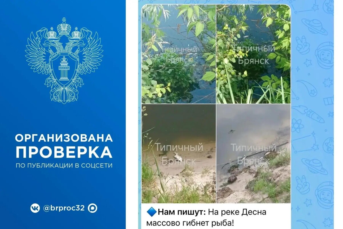 После жалоб о гибели рыбы в реке Десна, брянская прокуратура начала проверку