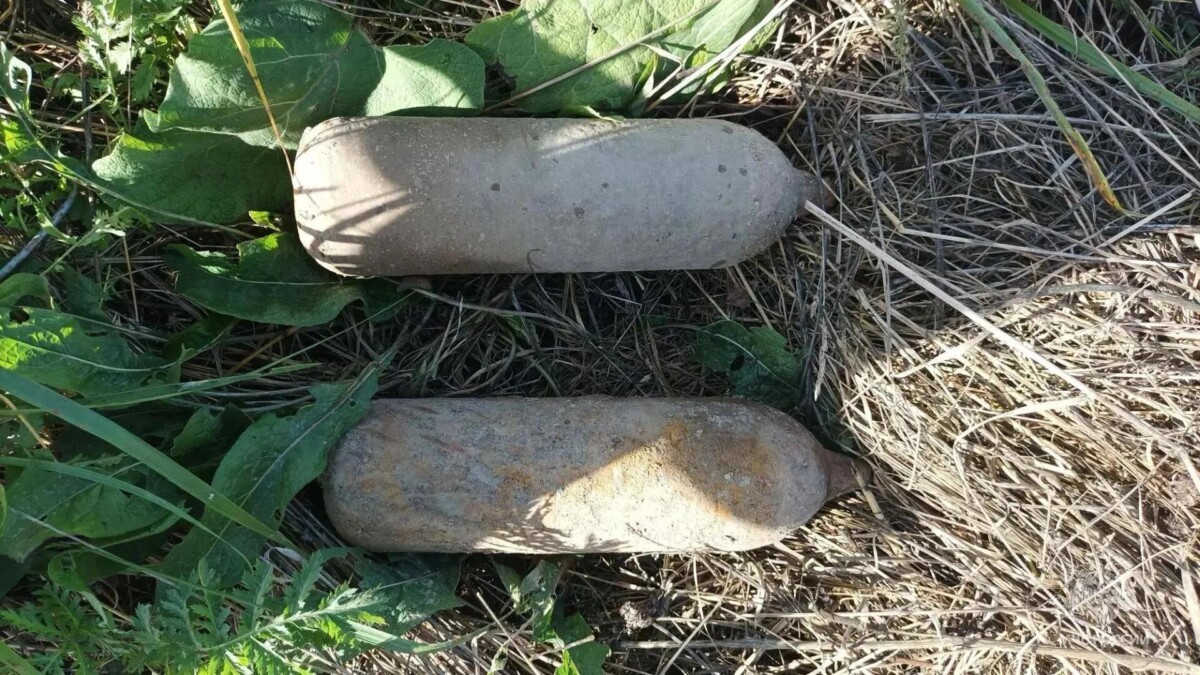 Две авиационные бомбы по 10 мм. обнаружили в Дубровском районе
