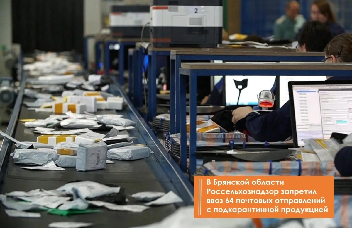 Десятки посылок запретили доставлять адресатам в Брянской области