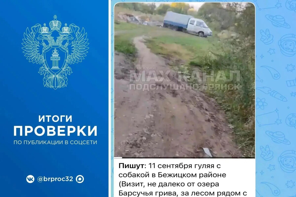 Свалку у озера Барсучья Грива в Брянской области должны ликвидировать
