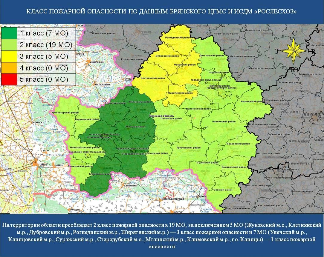 Лесопожарная обстановка в Брянской области спокойная