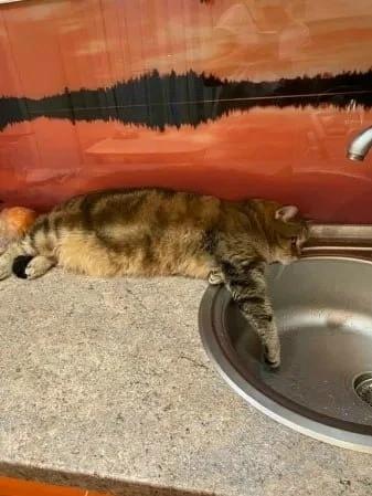 В Новозыбкове Брянской области временно нет воды