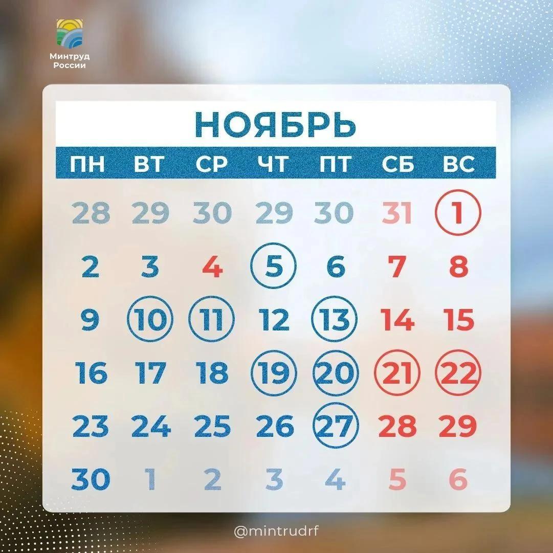 Профессиональные праздники и выходные ноября