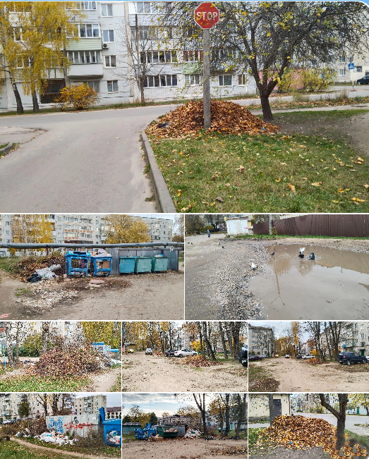 «Вершина благоустройства» Новозыбкова: когда реальность расходится с ожиданиями